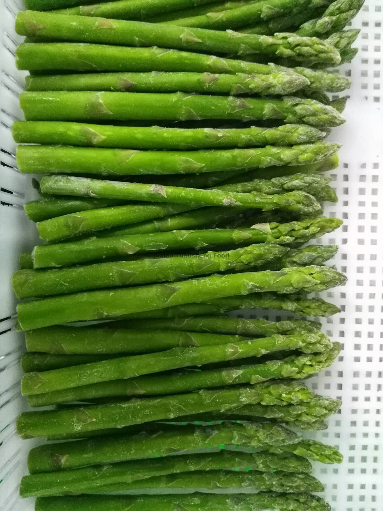 Raccolto primaverile di asparagi verdi congelati con buona qualità e miglior prezzo