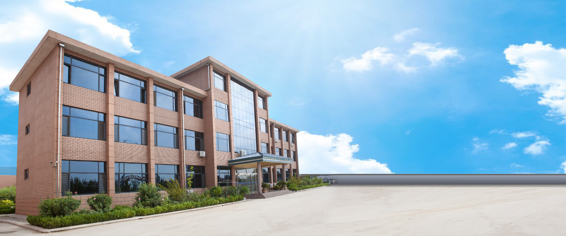 Dadi di peperone rosso da 10 mm 