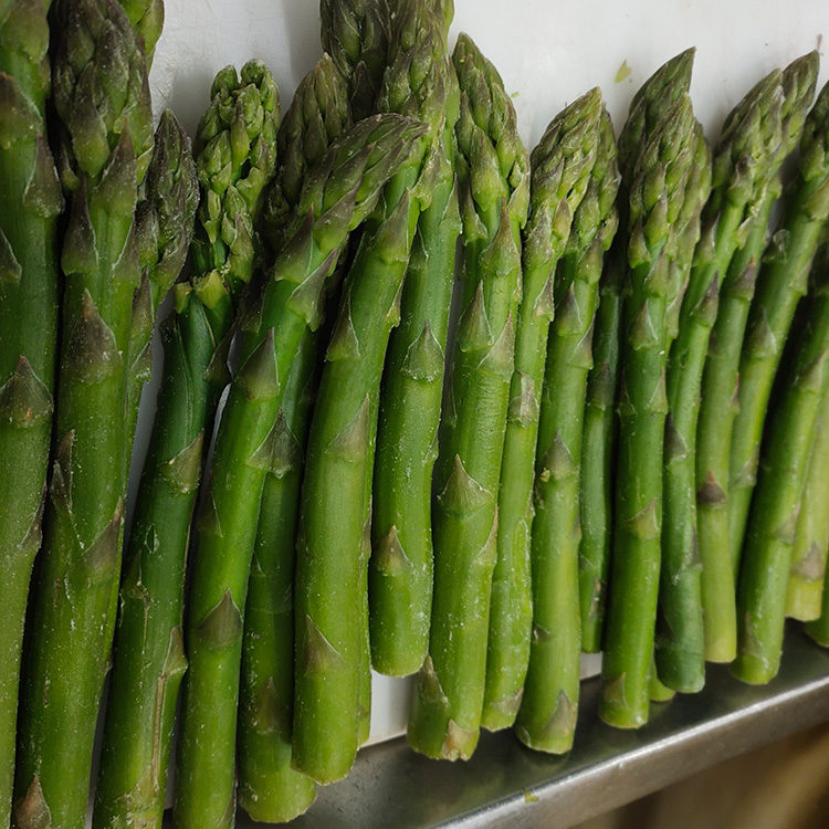 Asparagi verdi congelati all'ingrosso di alta qualità