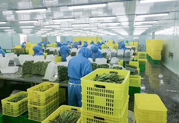 4_0000_粗加工-Produzione grezza