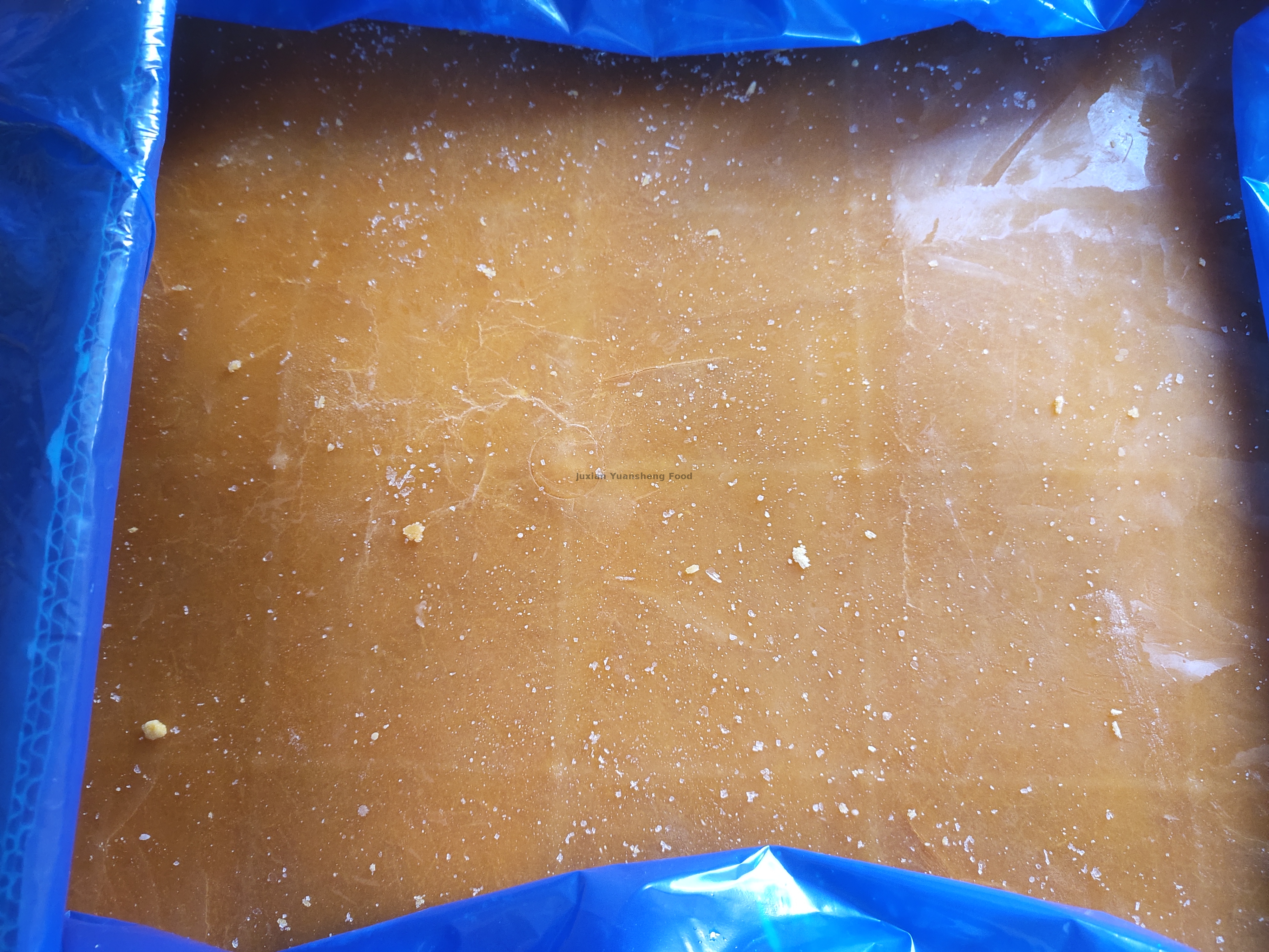 zucca 2 (7) - 副本