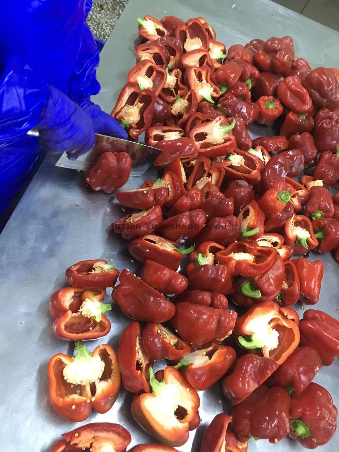 Dadi di peperone rosso sfusi congelati 