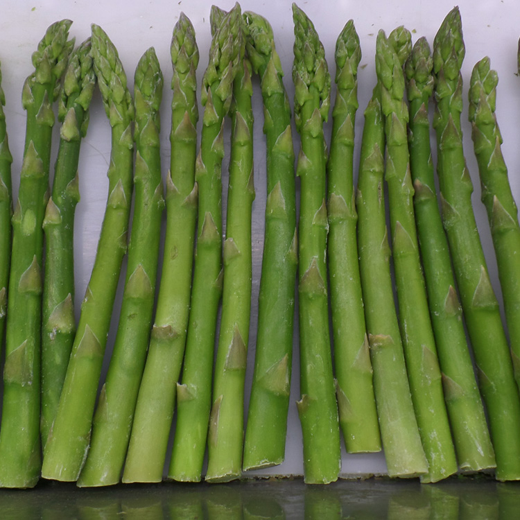 Asparagi verdi congelati all'ingrosso di alta qualità