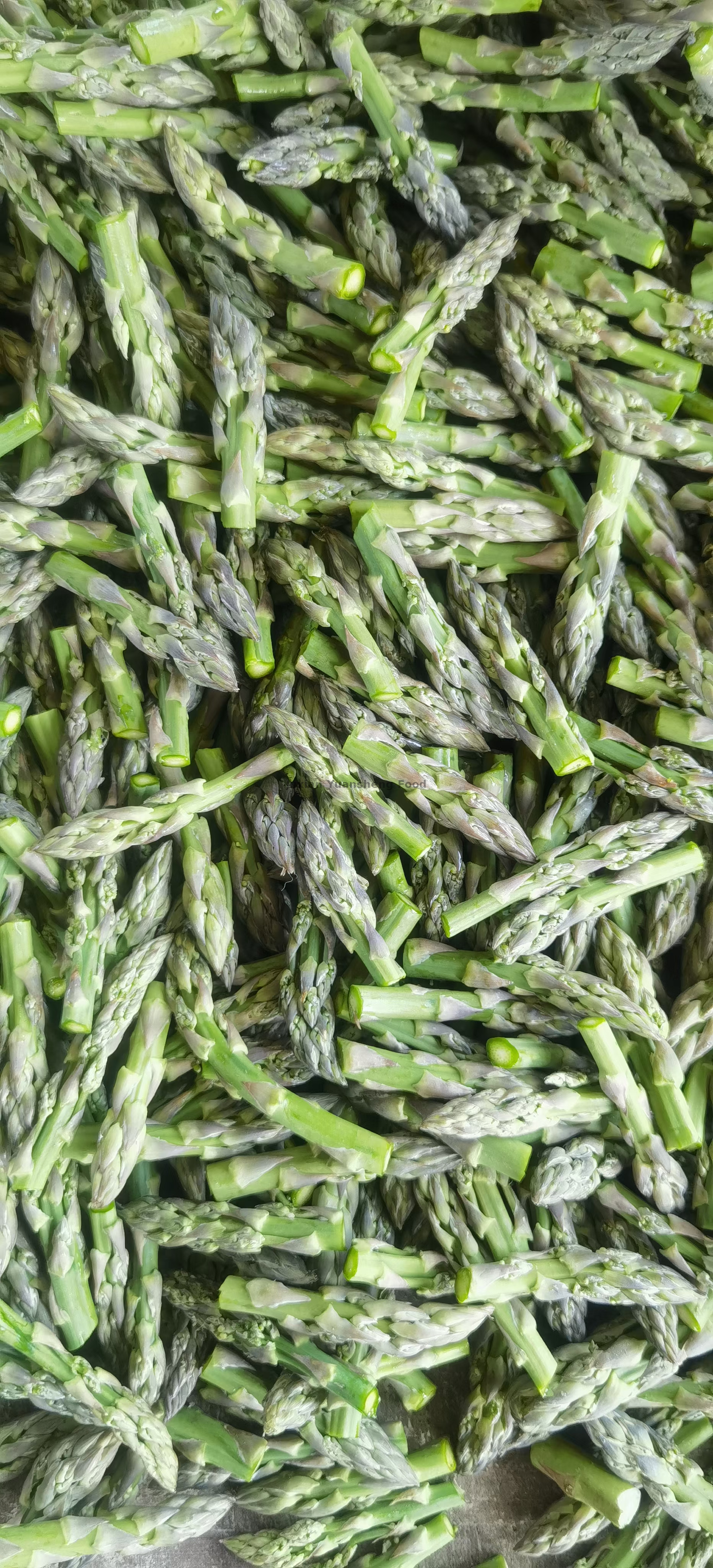 punte e tagli di asparagi verdi (3)