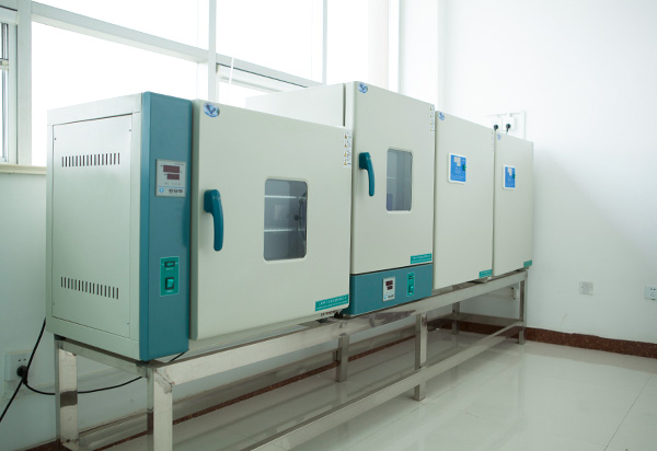 4_0005_细菌培养-coltura batterica